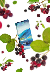 Табак для кальяна Сарма 25г - Ирга