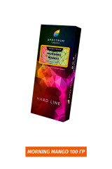 Табак Spectrum H 100 гр - Morning mango (Овсянка с манго)